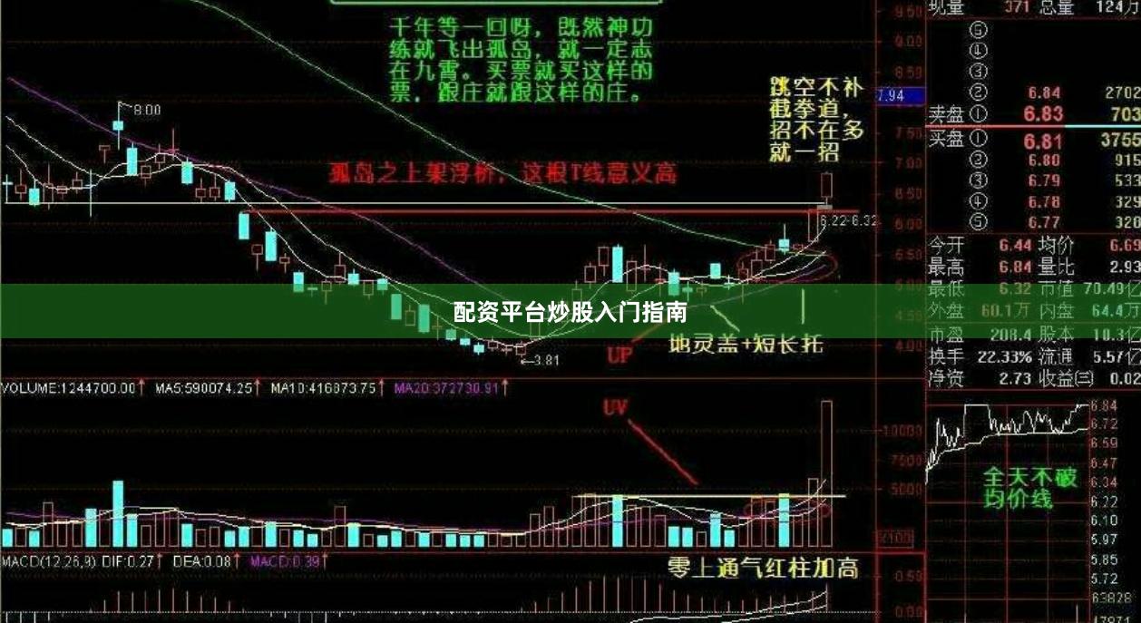 配资平台炒股入门指南